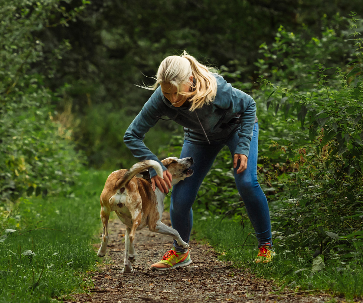 Einzelberatung-Hund-Mensch-Coaching